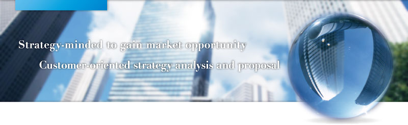 Strategy-minded to gain market access and share Customer-oriented strategy analysis and proposal